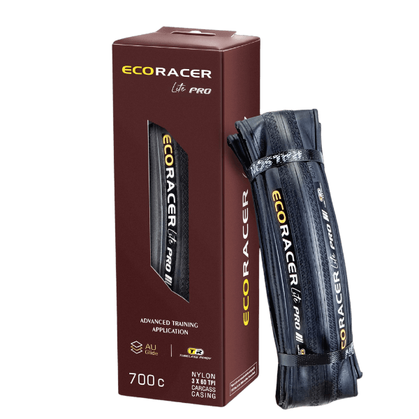 Photo of a Shiba Inu