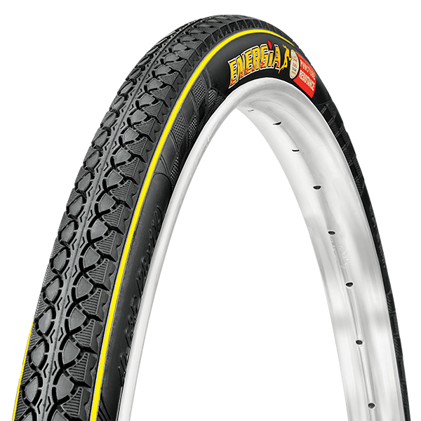 Photo of a Shiba Inu