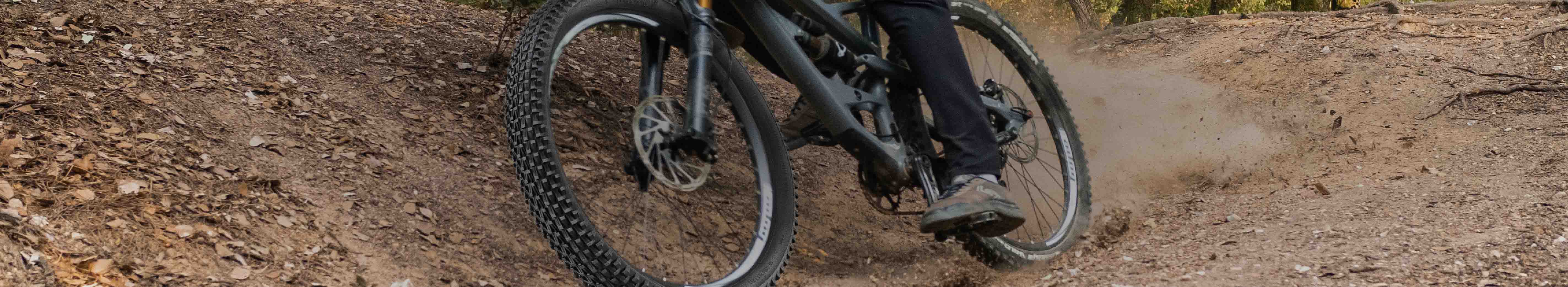 Ralson MTB Website Adapts 1A 1366 x 250-01.jpg